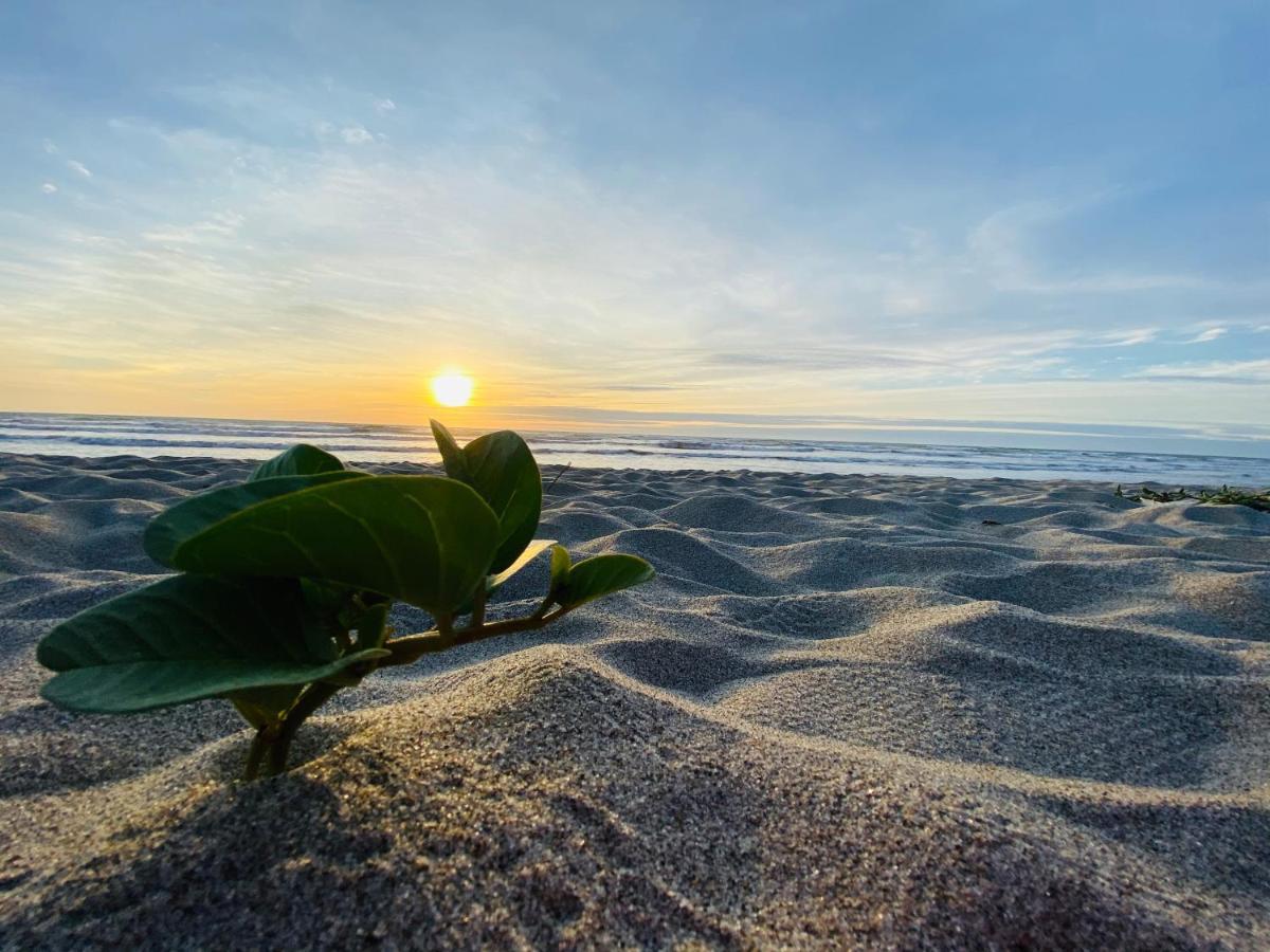 Canoa South Beach Bagian luar foto